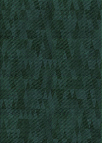 Machine Washable Transitional Medium Forest Green Rug, wshpat2571grn