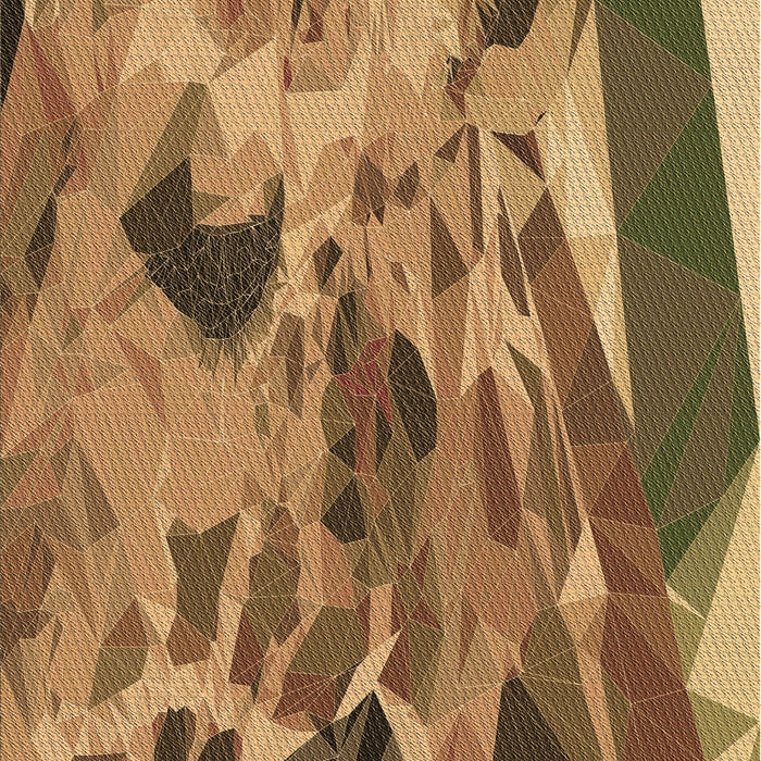 Machine Washable Transitional Saddle Brown Rug, wshpat2572brn