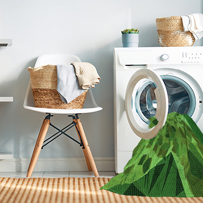 Machine Washable Transitional Green Rug in a Washing Machine, wshpat2572grn