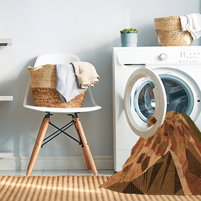 Machine Washable Transitional Orange Rug in a Washing Machine, wshpat2572org