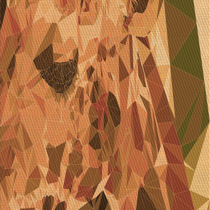 Machine Washable Transitional Orange Rug, wshpat2572org