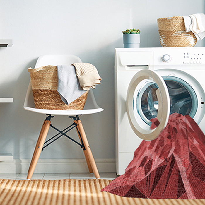 Machine Washable Transitional Red Rug in a Washing Machine, wshpat2572rd