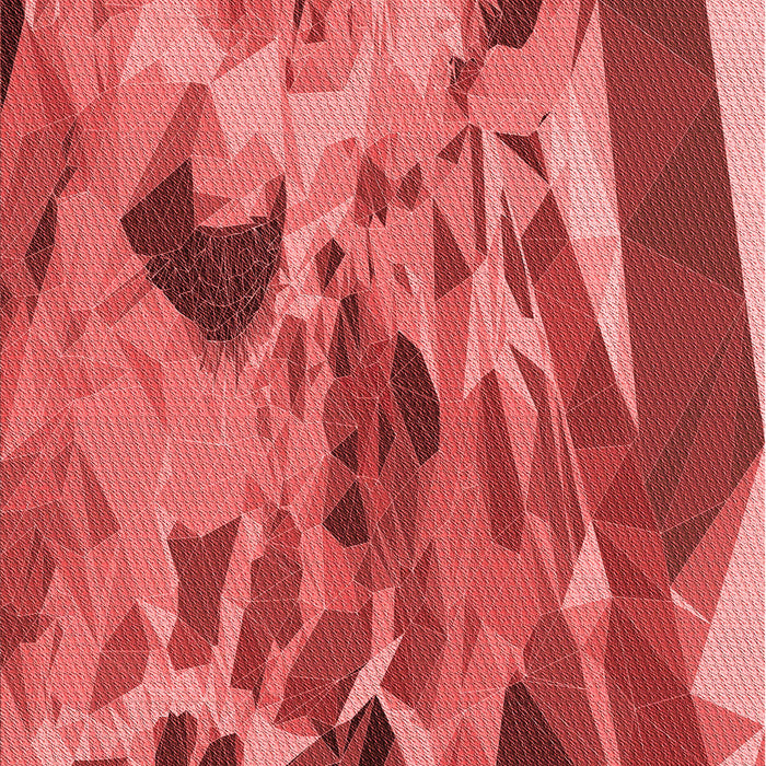 Machine Washable Transitional Red Rug, wshpat2572rd