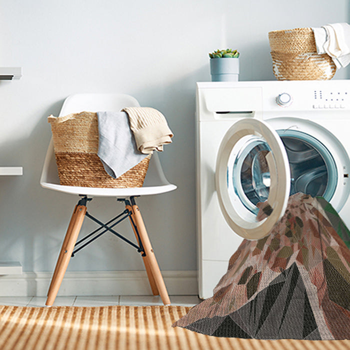 Machine Washable Transitional Light French Beige Brown Rug in a Washing Machine, wshpat2572