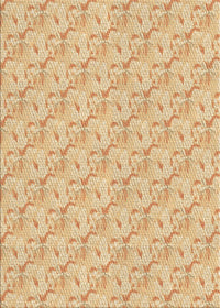 Machine Washable Transitional Orange Rug, wshpat2576brn