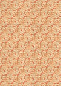 Machine Washable Transitional Orange Rug, wshpat2576org