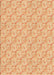 Machine Washable Transitional Orange Rug, wshpat2576org