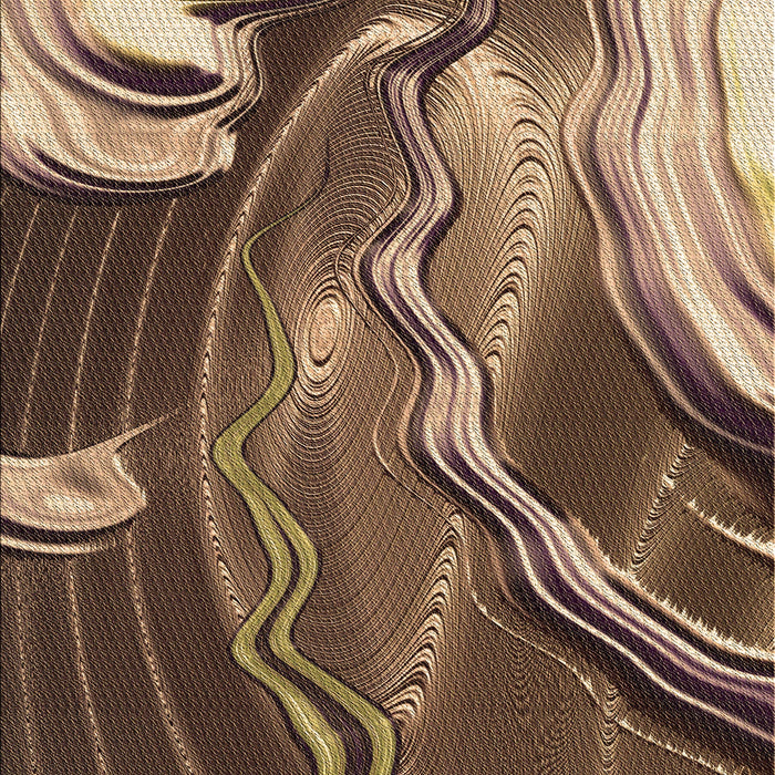 Machine Washable Transitional Peru Brown Rug, wshpat258brn