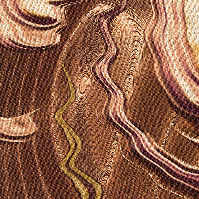 Machine Washable Transitional Orange Rug, wshpat258org