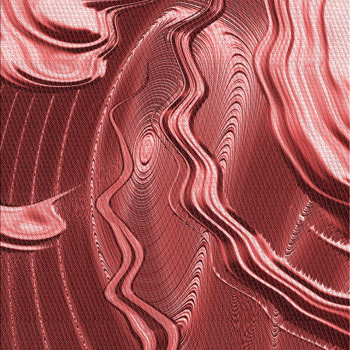 Patterned Red Rug, pat258rd