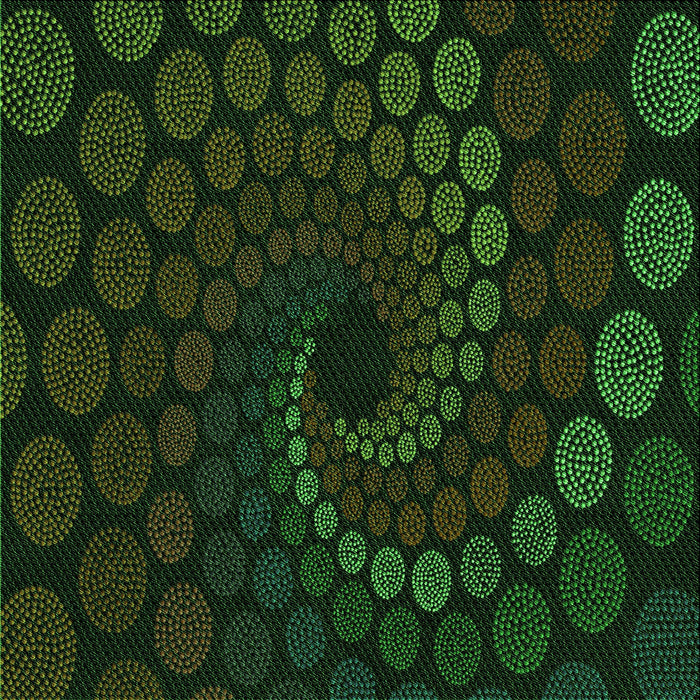 Round Machine Washable Transitional Black Rug, wshpat2580grn