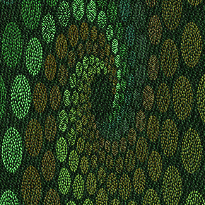 Patterned Black Rug, pat2580grn