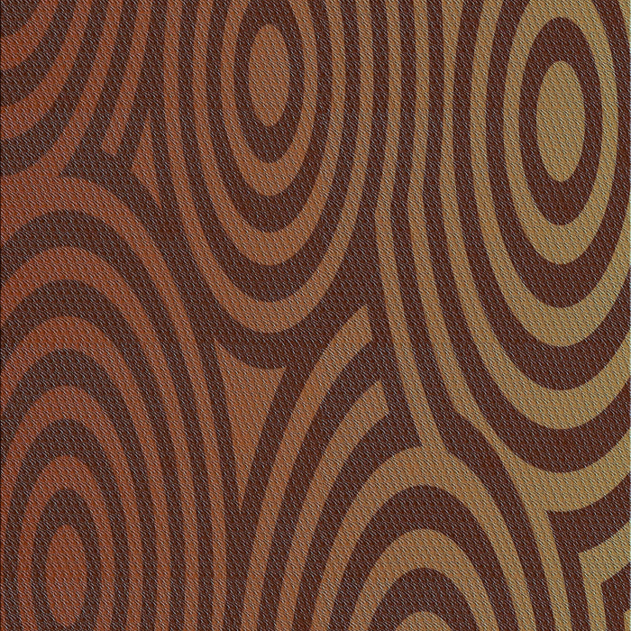 Machine Washable Transitional Sienna Brown Rug, wshpat2585lblu