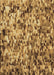 Patterned Saddle Brown Rug, pat2586brn
