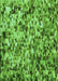Patterned Green Rug, pat2586grn
