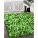 Machine Washable Transitional Green Rug in a Family Room, wshpat2586grn