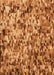 Patterned Orange Rug, pat2586org