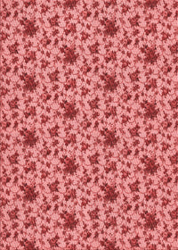 Machine Washable Transitional Light Coral Pink Rug, wshpat2588rd