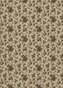 Machine Washable Transitional Brown Rug, wshpat2588