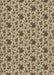 Machine Washable Transitional Brown Rug, wshpat2588