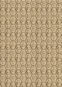 Machine Washable Transitional Light Brown Rug, wshpat2589brn