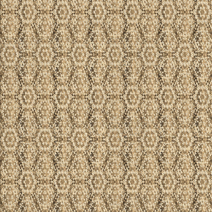 Machine Washable Transitional Light Brown Rug, wshpat2589brn