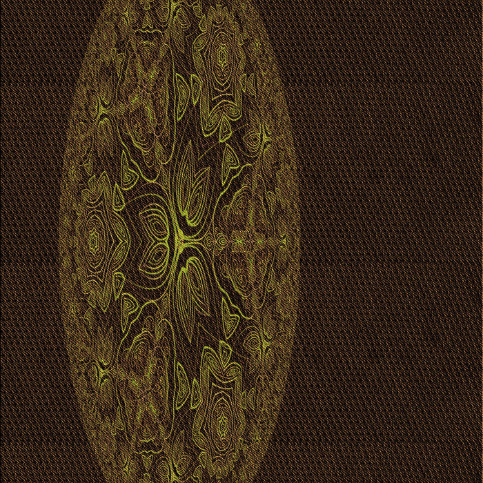 Machine Washable Transitional Black Rug, wshpat259org