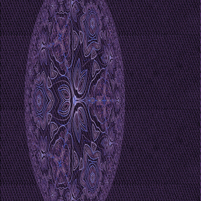 Machine Washable Transitional Purple Rug, wshpat259pur