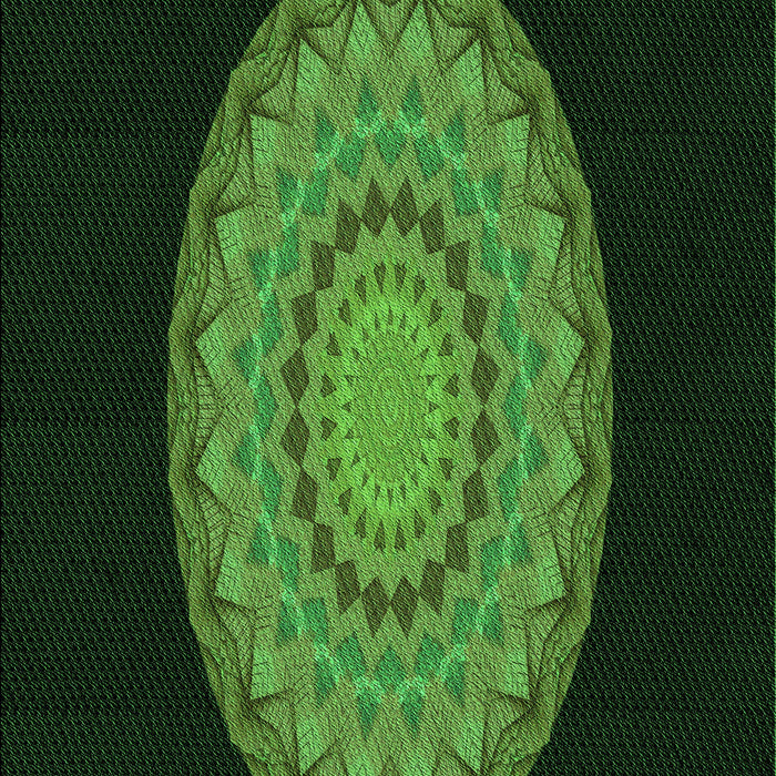 Machine Washable Transitional Dark Lime Green Rug, wshpat2591grn