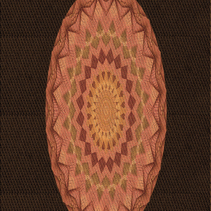 Machine Washable Transitional Mahogany Brown Rug, wshpat2591org