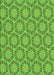 Patterned Bright Green Rug, pat2592grn