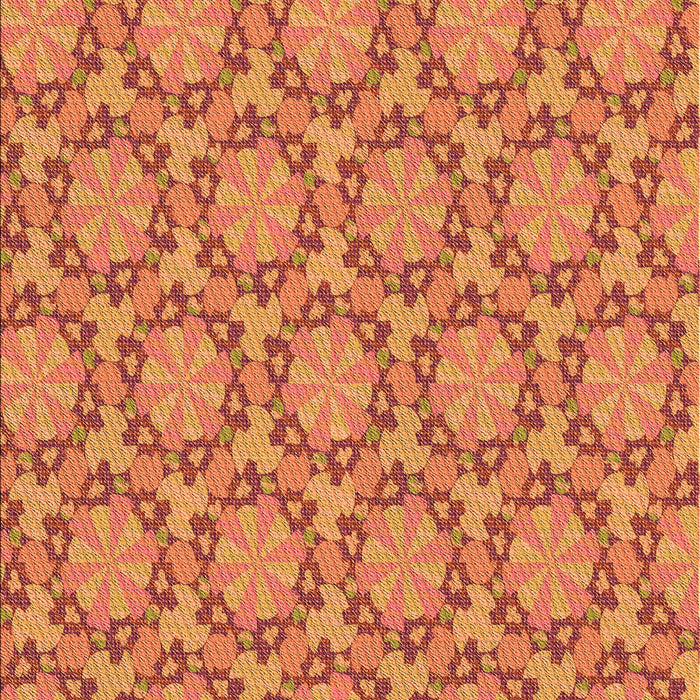 Machine Washable Transitional Orange Rug, wshpat2592org