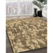 Machine Washable Transitional Brown Sand Brown Rug in a Family Room, wshpat2594brn