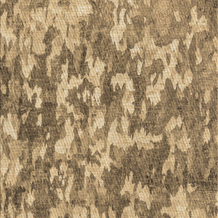 Machine Washable Transitional Brown Sand Brown Rug, wshpat2594brn