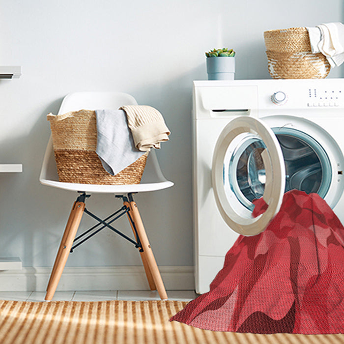 Machine Washable Transitional Red Rug in a Washing Machine, wshpat2595rd