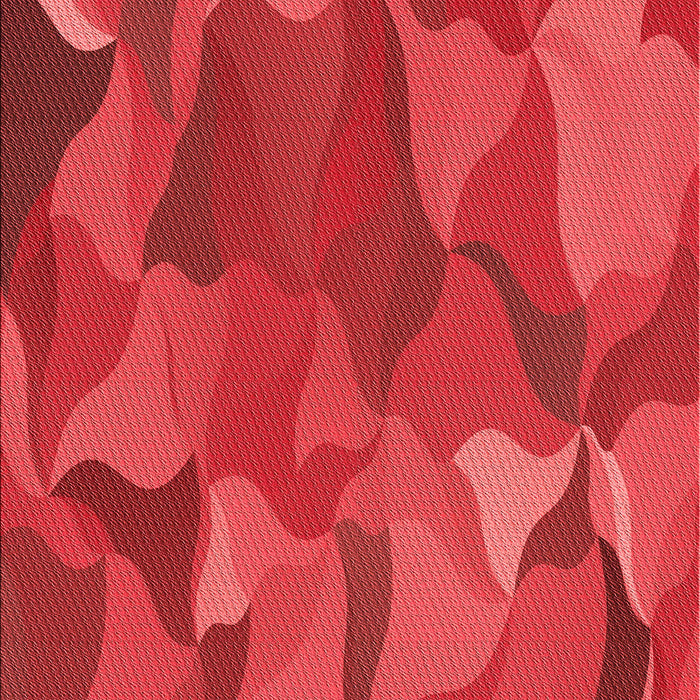 Machine Washable Transitional Red Rug, wshpat2595rd