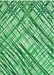 Patterned Green Rug, pat2598grn