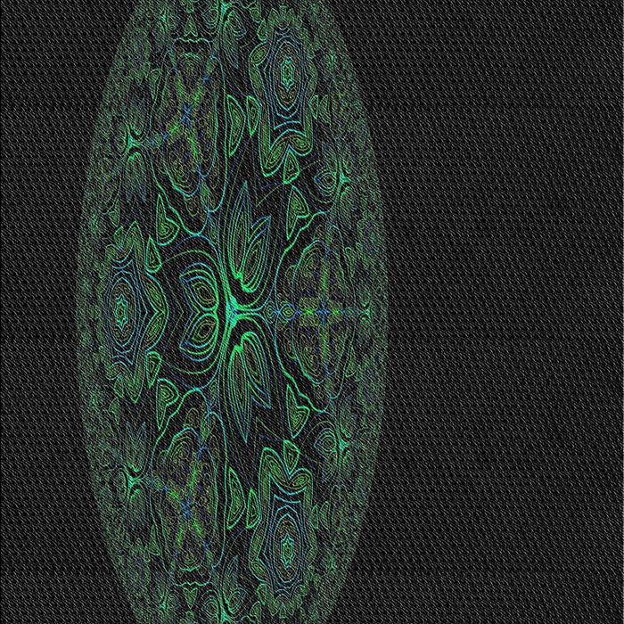 Machine Washable Transitional Black Rug, wshpat259