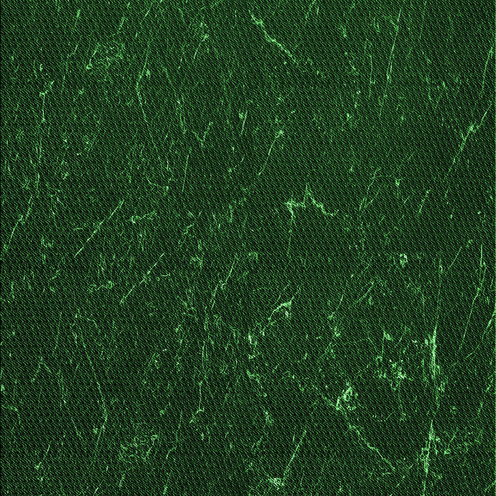 Machine Washable Transitional Green Rug, wshpat2602grn