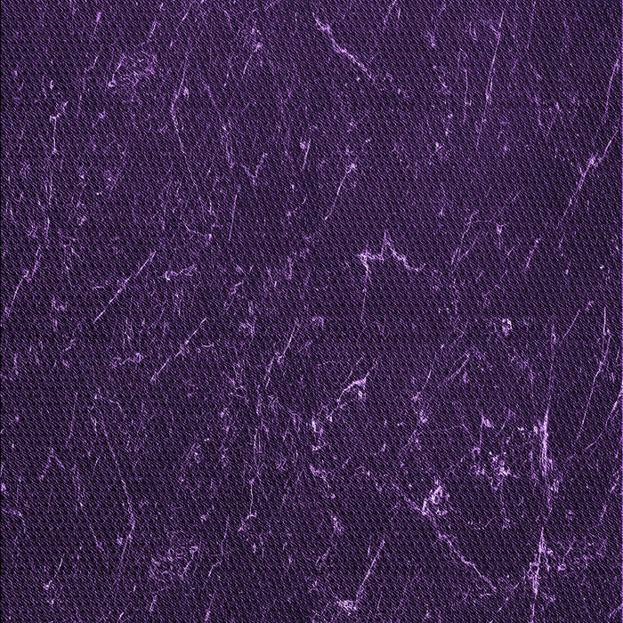 Machine Washable Transitional Deep Purple Rug, wshpat2602pur