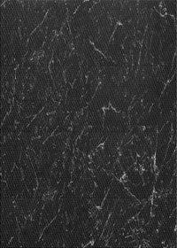 Machine Washable Transitional Black Rug, wshpat2602