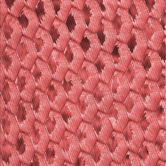 Patterned Red Rug, pat2603rd