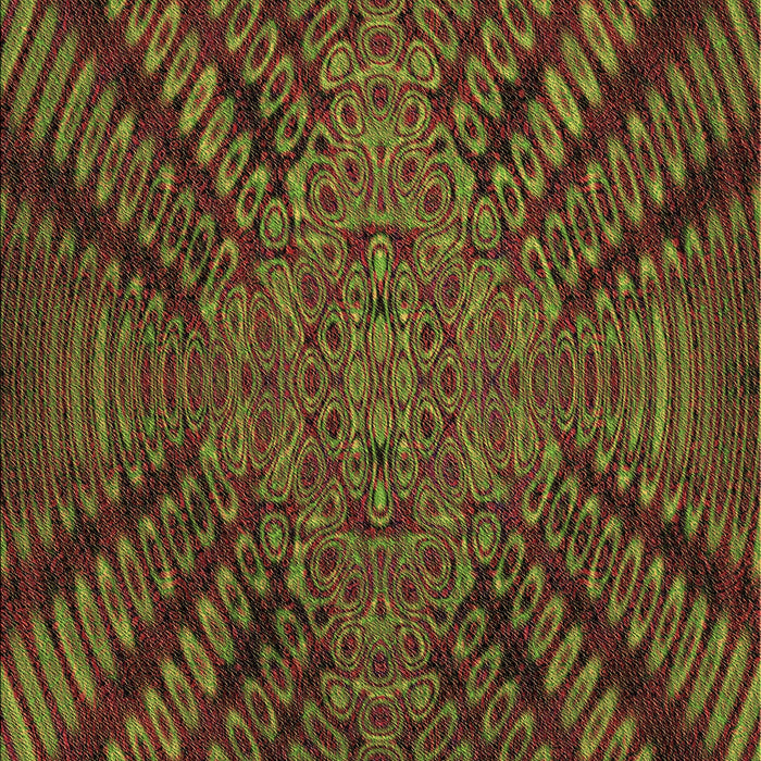 Patterned Dark Yellow Green Rug, pat2604brn