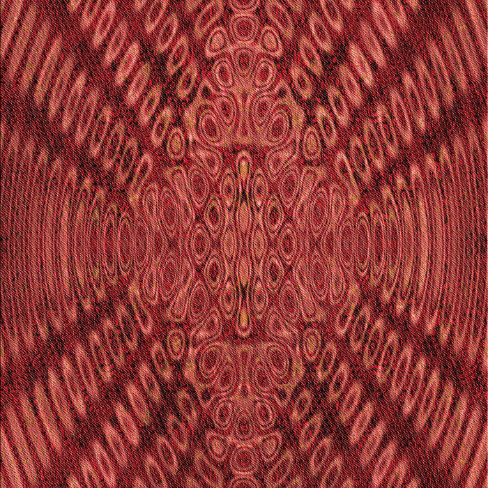 Patterned Red Rug, pat2604rd