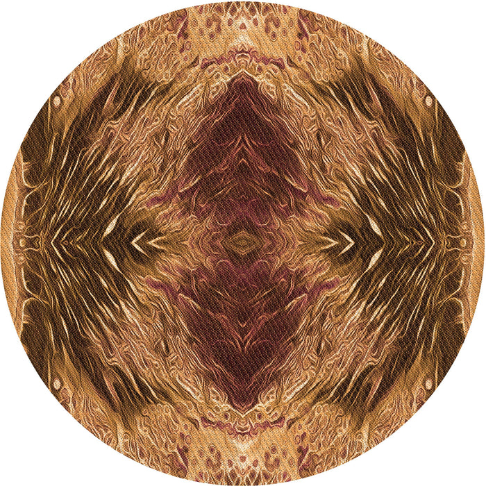 Square Machine Washable Transitional Red Brown Rug in a Living Room, wshpat2606org