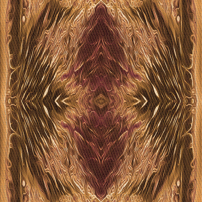 Machine Washable Transitional Red Brown Rug, wshpat2606org