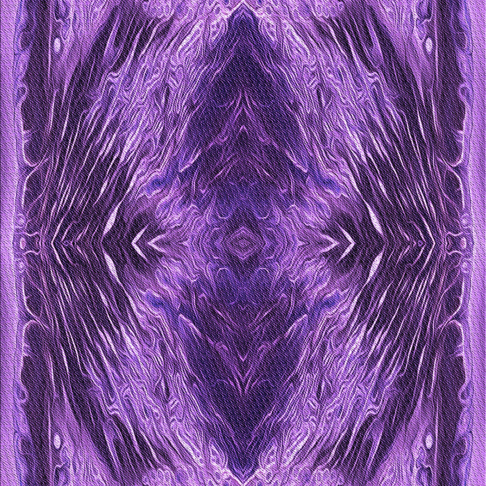 Machine Washable Transitional Purple Rug, wshpat2606pur