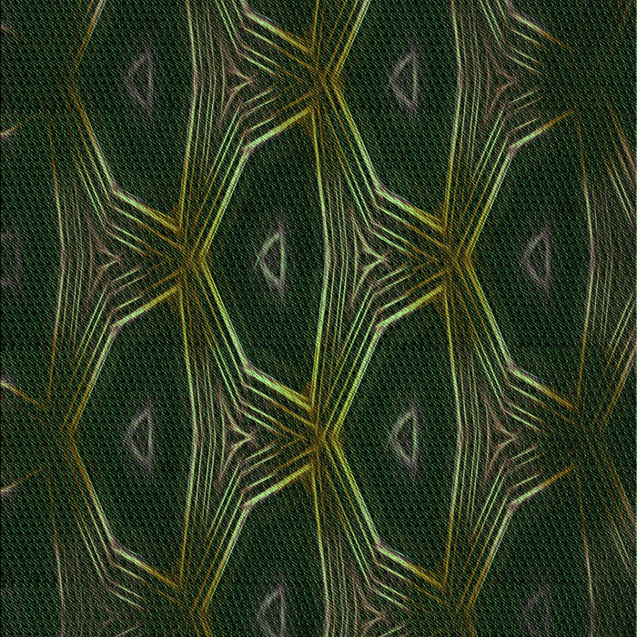 Patterned Black Rug, pat2608grn