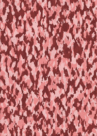 Machine Washable Transitional Light Coral Pink Rug, wshpat2609rd