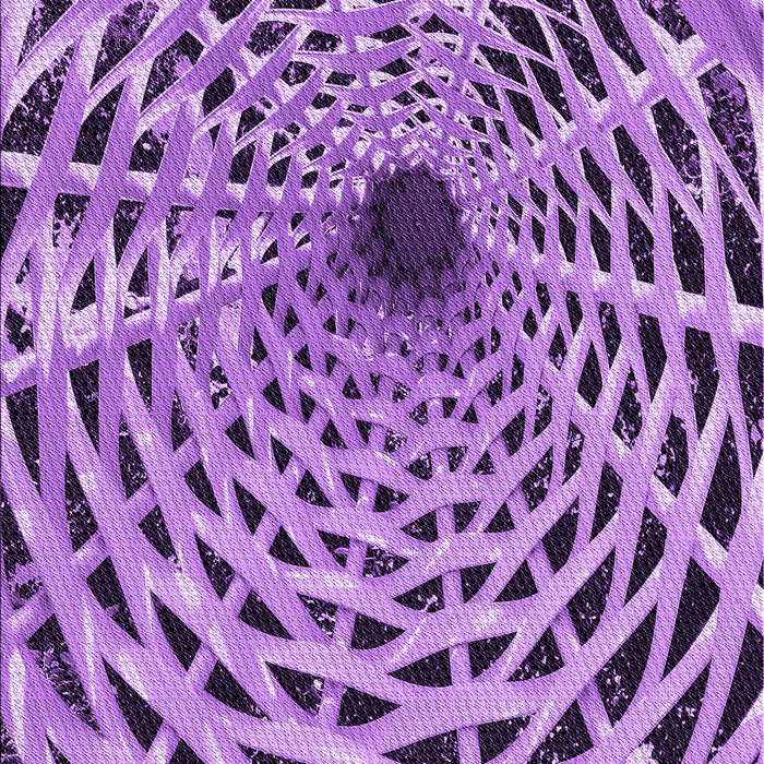 Machine Washable Transitional Violet Purple Rug, wshpat2613pur